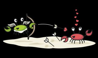 Valentine's Illustration of Circle crab as Cupid shooting a love arrow at opposing crab