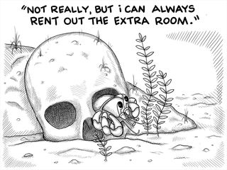 A comic panel revealing that the two bedroom apartment is a skull with the hermit crab sitting in one eye socket