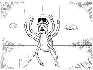 A spider falls from the sky