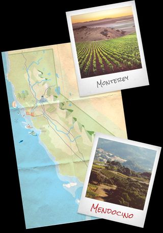 Acidity Trip wrinkled map of California and polaroids of Monterey and Mendocino wine vineyards