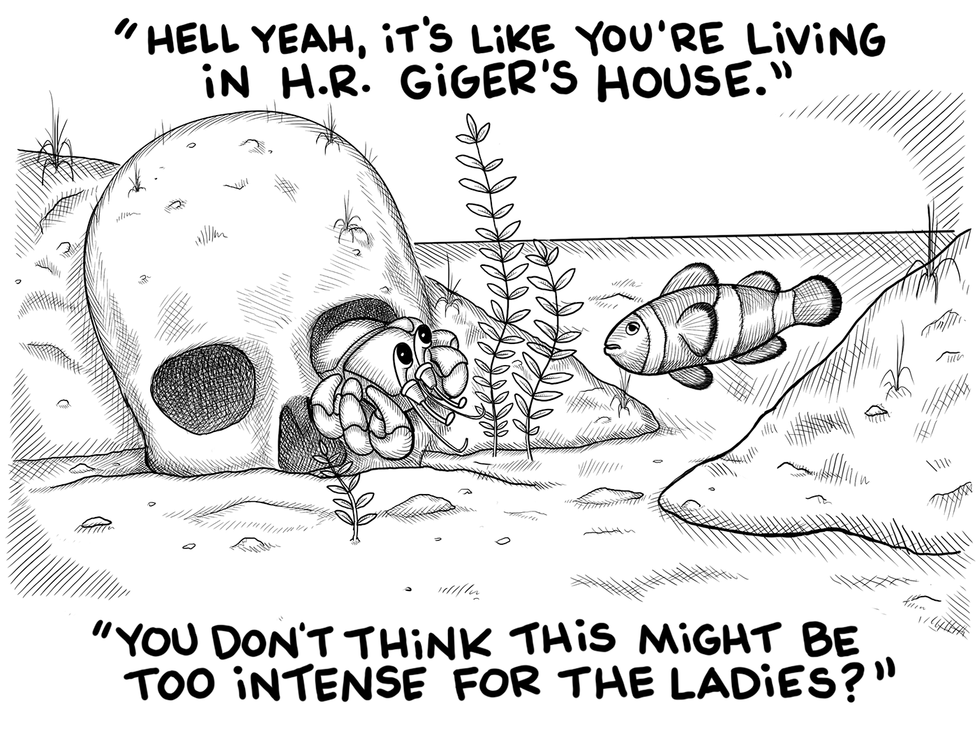 The hermit crab asks the clowndish if the skull as a house will be too intense for ladies